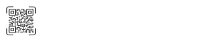 ISS logo bianco